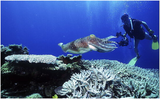 馬來西亞旅游攻略_馬來西亞旅游注意事項(xiàng)